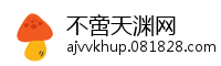 不啻天渊网